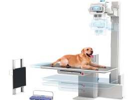 Стационарный ветеринарный рентген-аппарат Rayence MYVET